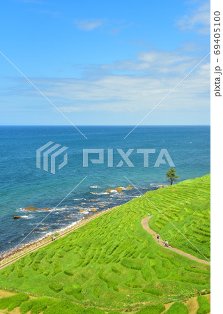 石川県能登半島にある白米千枚田の絶景 69405100
