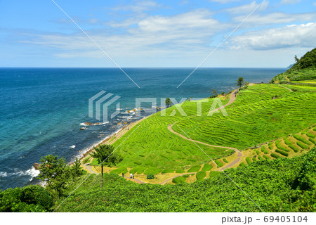 石川県能登半島にある白米千枚田の絶景 69405104