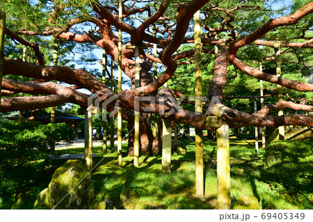金沢兼六園の美しい風景 金沢兼六園の美しい風景 69405349
