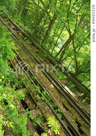 新緑の奥多摩むかし道　むかし道から見る廃線の小河内線の線路 69405526