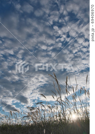 秋の空8 69406970