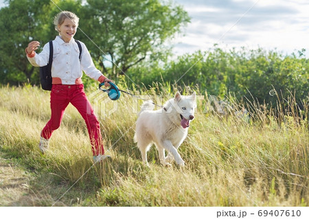 Walk girl with dog in nature, run child with pet in sunny meadow 69407610