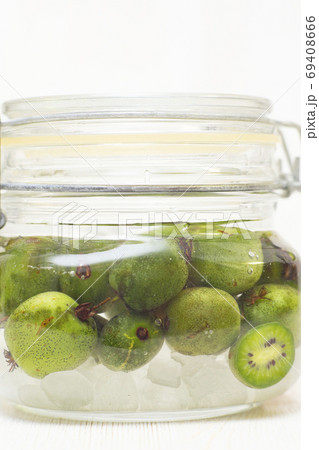 さるなし酒 69408666