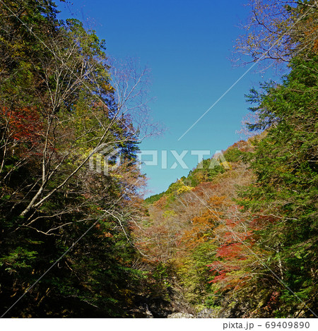 みたらい渓谷 紅葉 みたらい渓谷 紅葉 69409890
