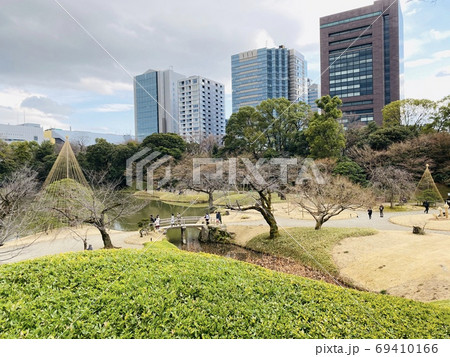 ビル群を背景とした冬の小石川庭園 69410166