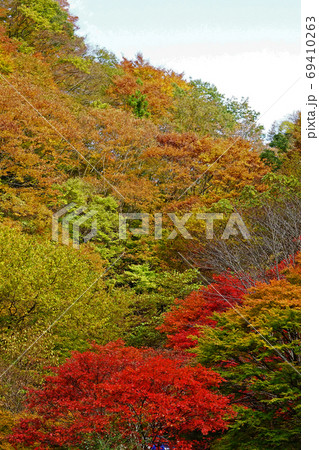 みたらい渓谷 紅葉 奈良県 みたらい渓谷 紅葉 奈良県 69410263