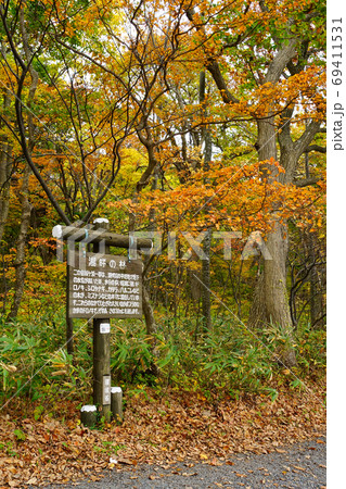 十和田休屋地区 青森県 十和田休屋地区 青森県 69411531