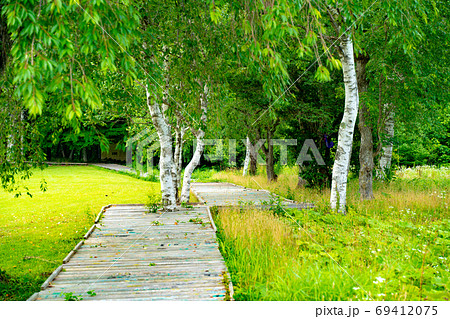 キャンプ場の風景 69412075