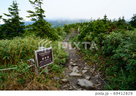 八甲田山　ロープウエイ 69412829