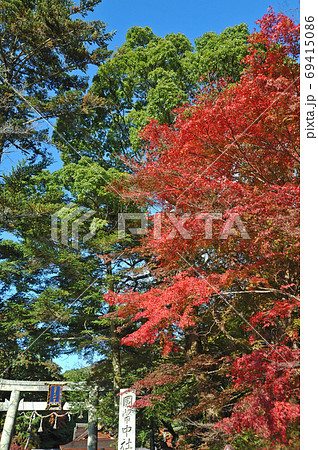≪京都　亀岡　出雲大神宮の紅葉　明智光秀ゆかりの地≫　京都府亀岡市　御影山城跡 69415086