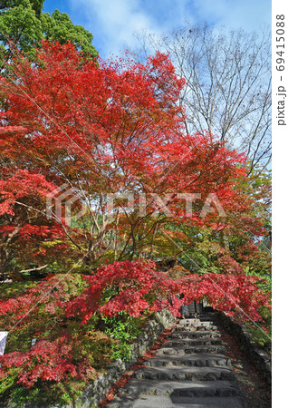 ≪京都　亀岡　出雲大神宮の紅葉　明智光秀ゆかりの地≫　京都府亀岡市　御影山城跡 69415088