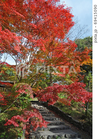 ≪京都　亀岡　出雲大神宮の紅葉　明智光秀ゆかりの地≫　京都府亀岡市　御影山城跡 69415090