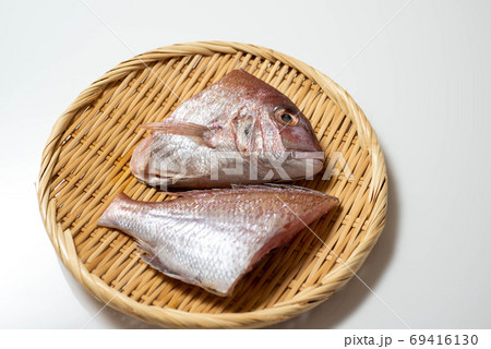 新鮮魚介 鯛 新鮮魚介 鯛 69416130