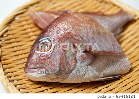 新鮮魚介 鯛 新鮮魚介 鯛 69416131