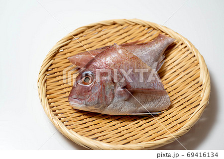 新鮮魚介 鯛 新鮮魚介 鯛 69416134