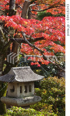 紅葉シーズンの日本庭園の一風景 69416343