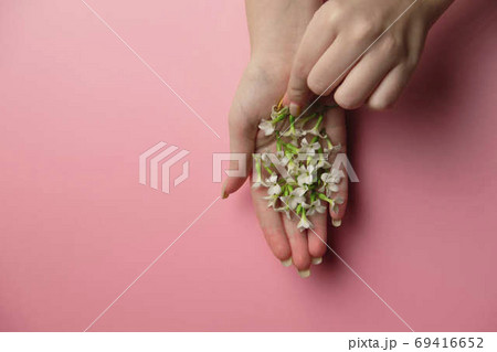 Garden flowers in hand over plain pink background. Backdrop with copy space 69416652