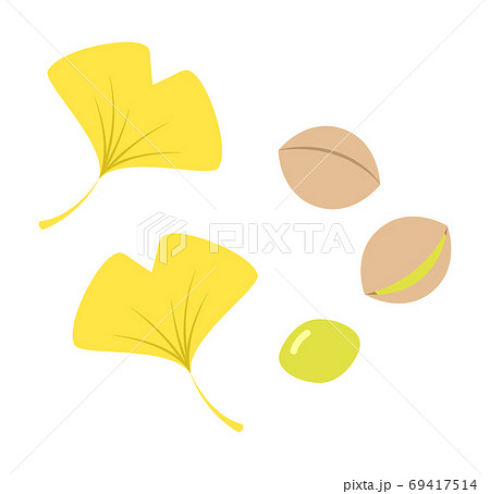 イチョウの葉と銀杏のイラスト素材