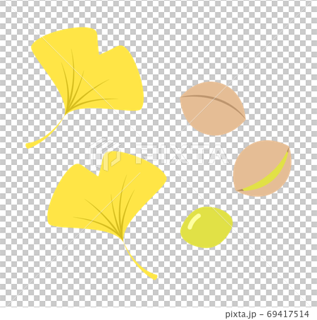 Leaves of ginkgo and ginkgo Leaves of ginkgo and ginkgo 69417514