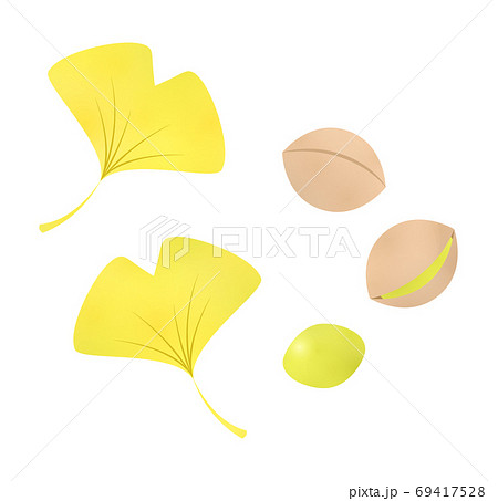 イチョウの葉と銀杏のイラスト素材