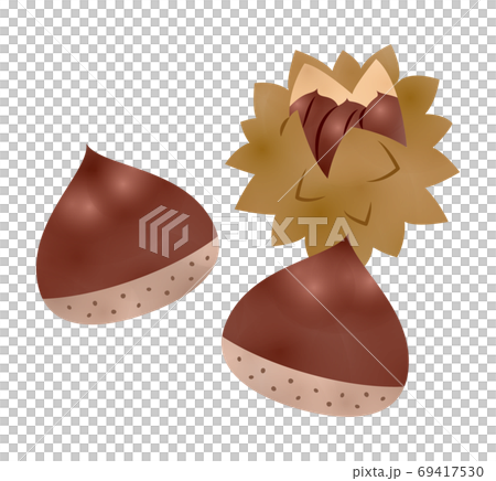 Chestnut Chestnut 69417530