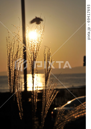 夕暮れの江ノ電沿線 夕暮れの江ノ電沿線 69417693