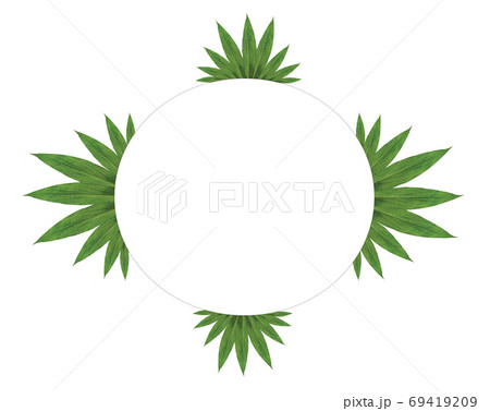 The copy space layout is created from green leaves. 69419209