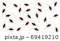 The patterns of cockroaches on a white background. 69419210