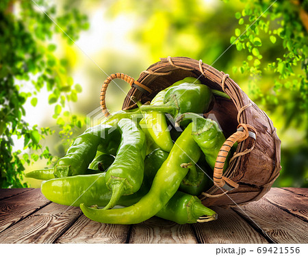 Green pepper in a basket 69421556