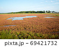 能取湖の紅葉したサンゴ草 69421732