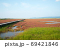 能取湖の赤いサンゴ草 69421846