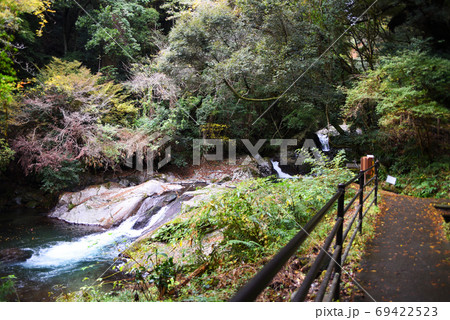 河津七滝　  69422523