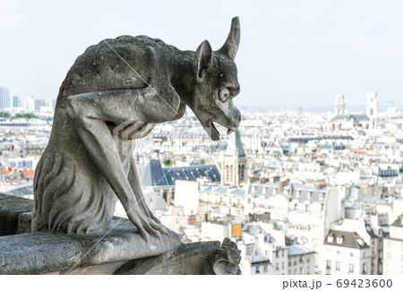 Gargoyle statue with city of Paris on background 69423600