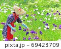 初夏の公園でハナショウブの花摘みをしている、早乙女姿の花摘み娘 69423709