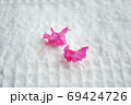 百日紅の花びら 69424726
