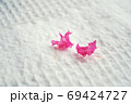 百日紅の花びら 69424727