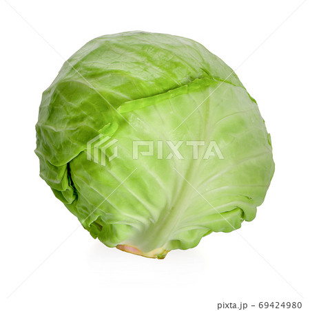 cabbage on white background 69424980