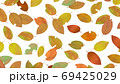 枯葉 69425029