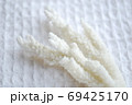 白いサンゴとワッフル生地 69425170