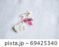 百日紅の花びらと珊瑚 69425340
