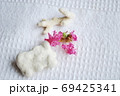 百日紅の花びらと珊瑚 69425341