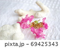 百日紅の花びらと珊瑚 69425343