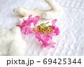 百日紅の花びらと珊瑚 69425344