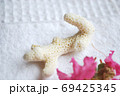 百日紅の花びらと珊瑚 69425345