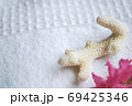 百日紅の花びらと珊瑚 69425346