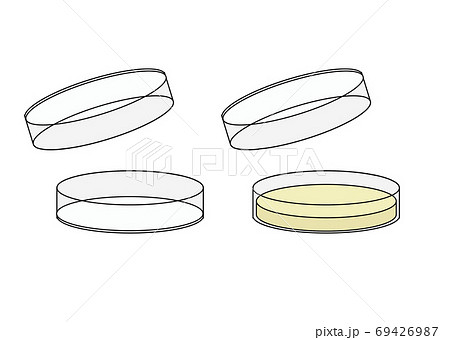 シャーレと培地の入ったシャーレ 線 のイラスト素材