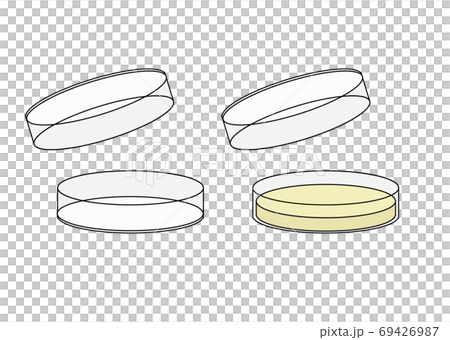 シャーレと培地の入ったシャーレ 線 のイラスト素材