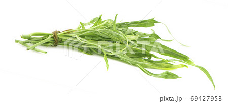 Water spinach , Morning Glory on white background. 69427953