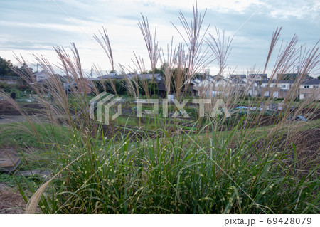 秋の東京郊外 秋の東京郊外 69428079