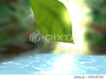 森を流れる川に差し込む光 69428758